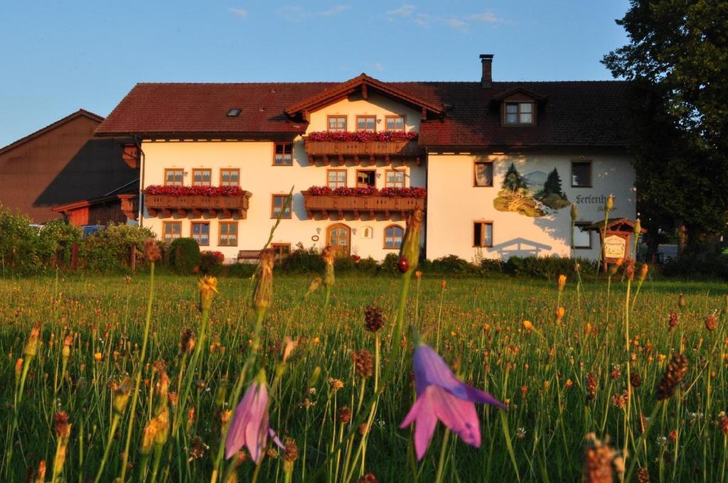 Bauernhof Bauer Apartment Zwiesel Exterior foto